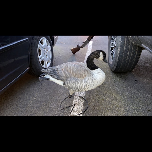 Goose decoys - Picture 2 of 2
